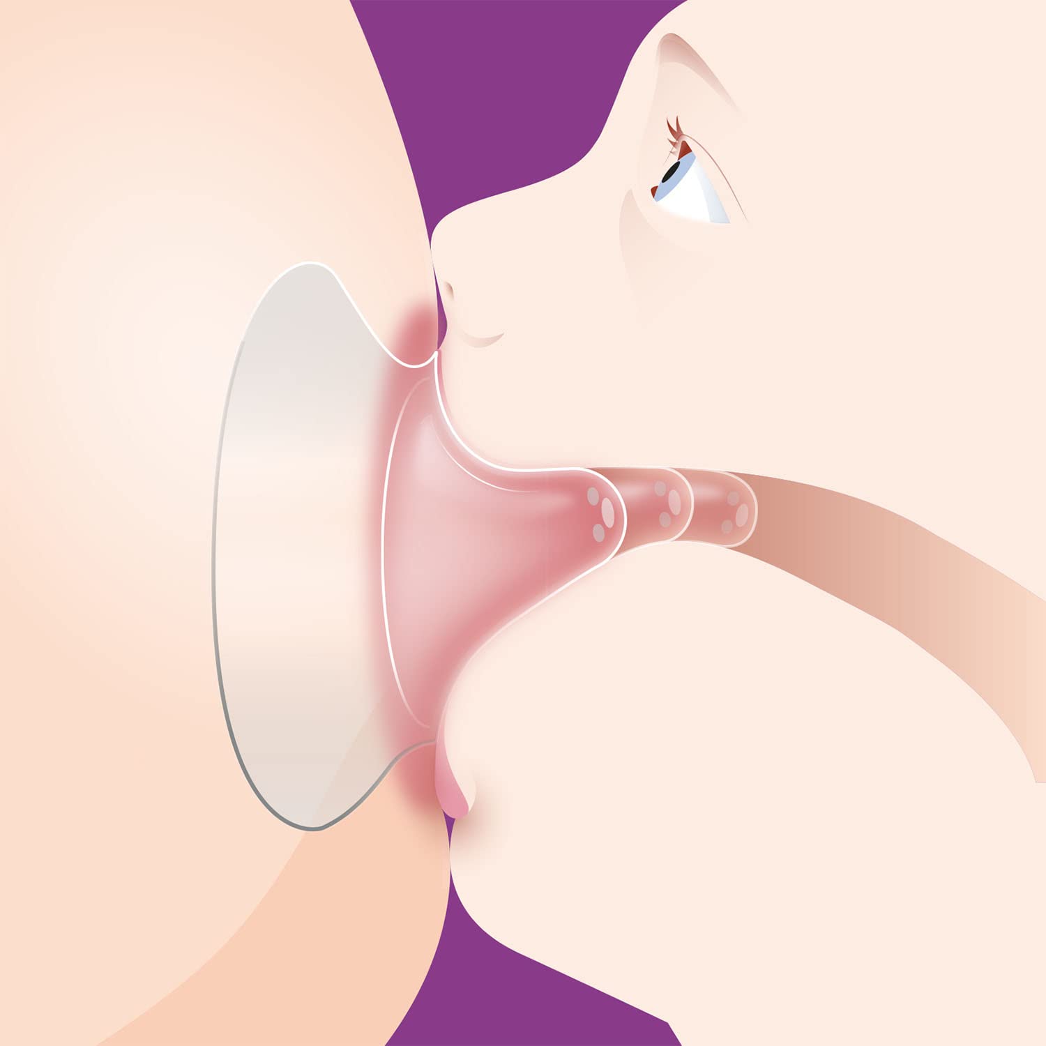 philips-avent-paracapezzoli-small-15-mm-2-pezzi image 6